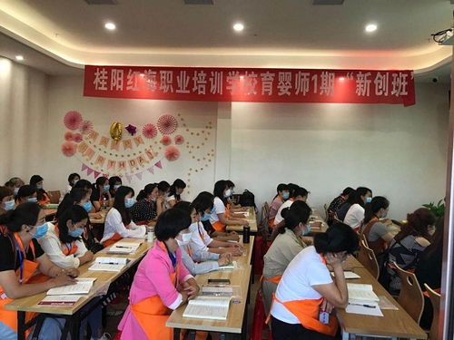 郴州新闻网 桂阳 订单定向 培训提升技能促就业